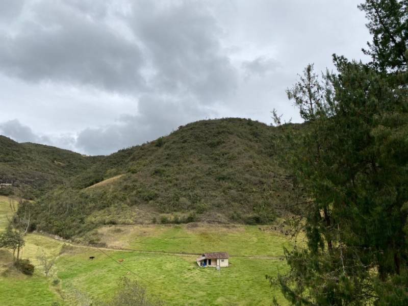 T209 Terreno de venta, de 6 hectáreas 