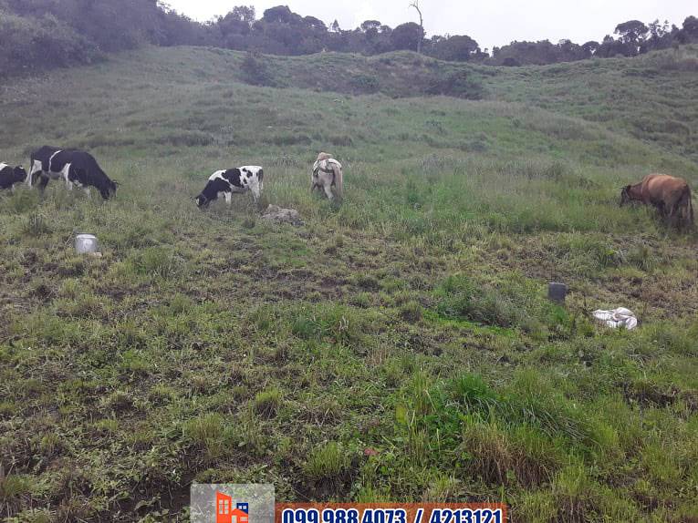 T218 Terreno de venta 150 hectáreas sector las Juntas