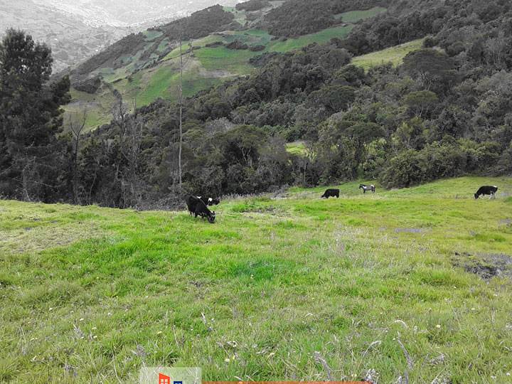 T218 Terreno de venta 150 hectáreas sector las Juntas