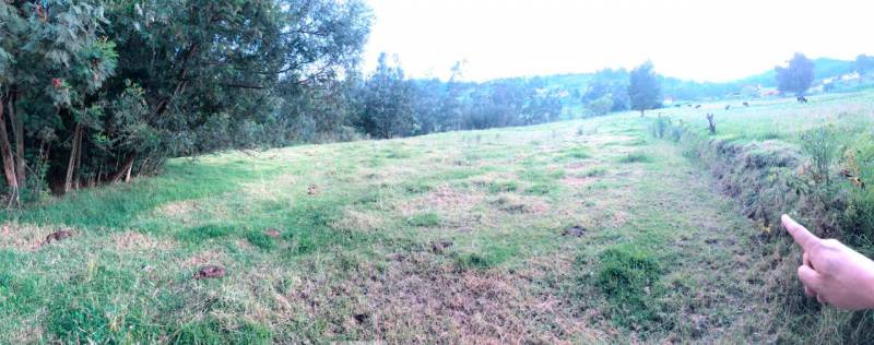 T213 Hermosos terrenos de venta, sector colegio Garaicoa, lotes de más de 1000m