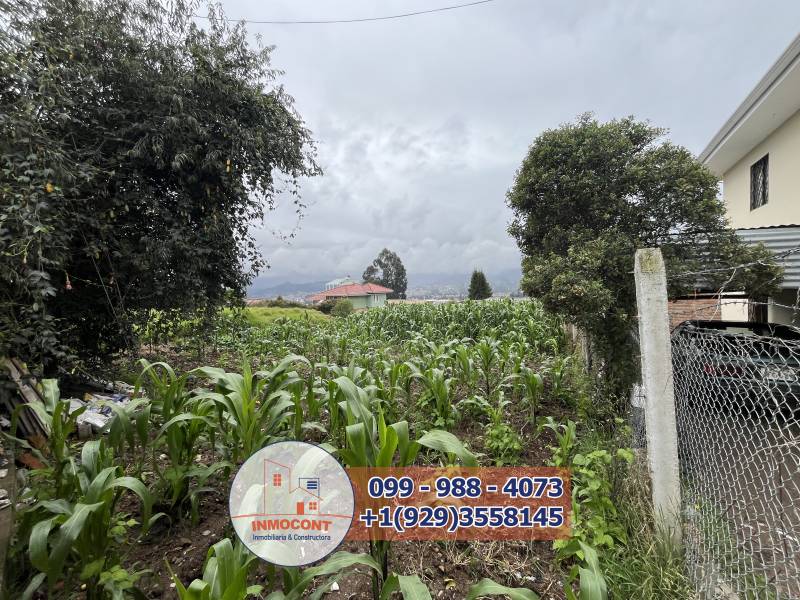 TERRENO DE VENTA EN ZONA RESIDENCIAL Y COMERCIAL